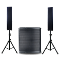 Multifunctional High Power Beautiful Professional Speaker